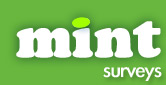 Mint Surveys